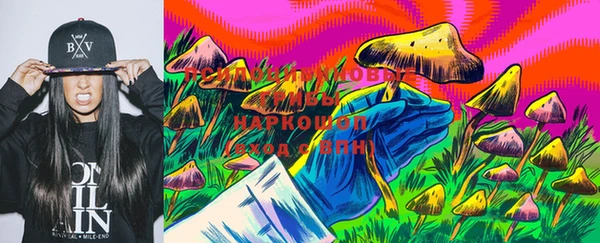 гашик Мегион
