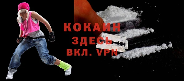 тгк Медвежьегорск