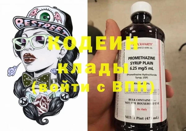 гашик Мегион