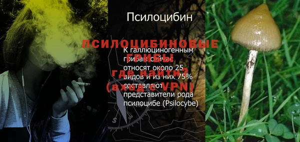 гашик Мегион