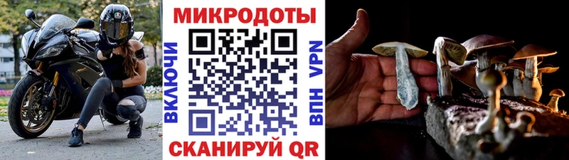 Псилоцибиновые грибы мухоморы  ОМГ ОМГ маркетплейс  Суджа 